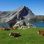 Lägenhet Casa Fredi - Llaceries Onís