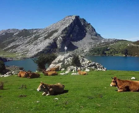 Apartment Casa Fredi - Llaceries Onís